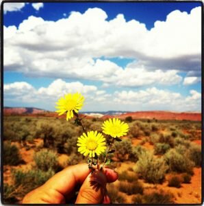 daisyinutah