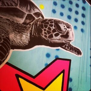 heyturtle